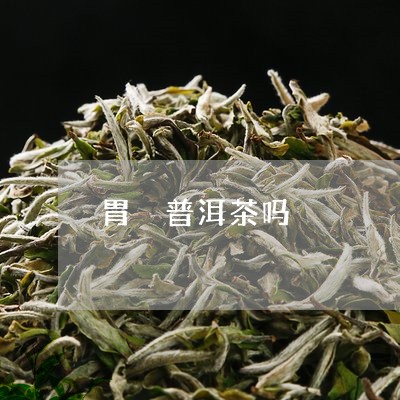 胃 普洱茶吗/2023042699218